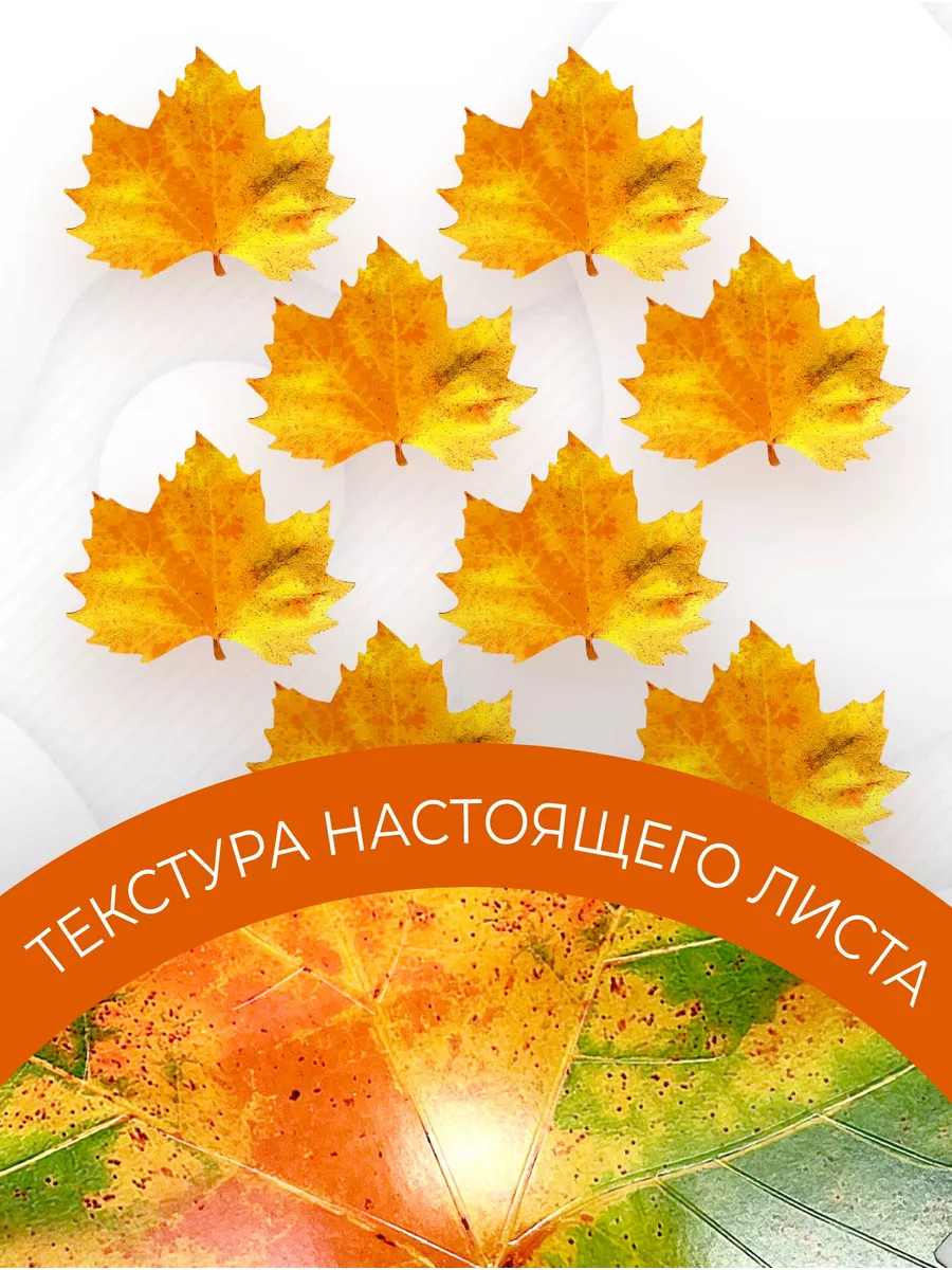 Набор Кленовые листья искусственные для декора, 10 шт — изображение 2