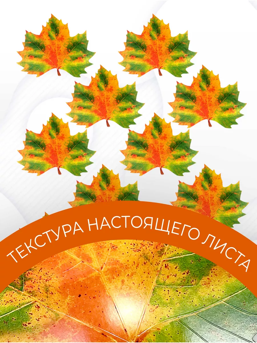 Набор Кленовые листья искусственные для декора, 10 шт — изображение 2